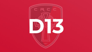 D13