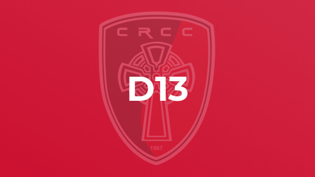 D13