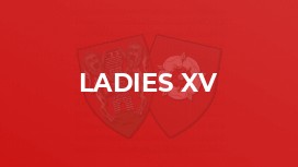 Ladies XV