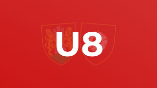 U8