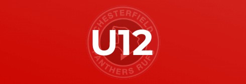 Dronfield v Panthers U11