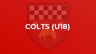 Colts (U18)