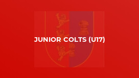 Junior Colts (U17)