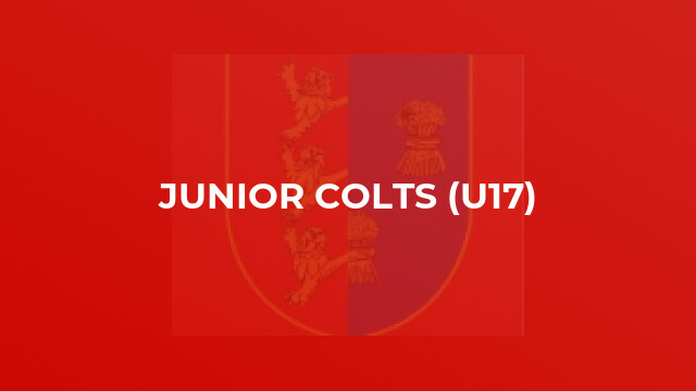 Junior Colts (U17)