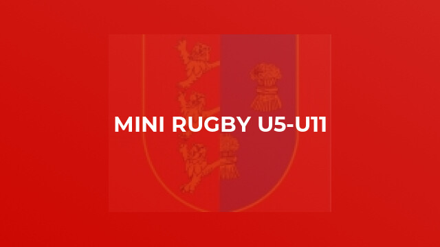 Mini Rugby U5-U11