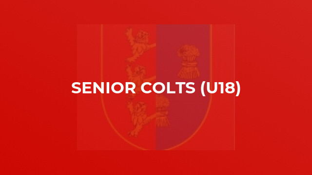 Senior Colts (U18)