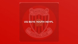 U12 Boys Youth HDYFL
