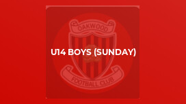 U14 Boys (Sunday)