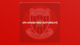 U14 Mixed Red (Saturday)