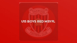 U15 Boys Red MSYFL