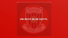 U16 Boys Blue MSYFL