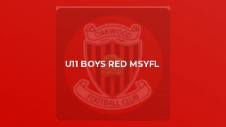 U11 Boys Red MSYFL
