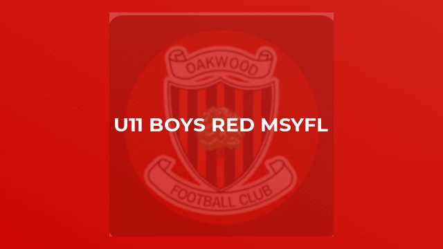 U11 Boys Red MSYFL