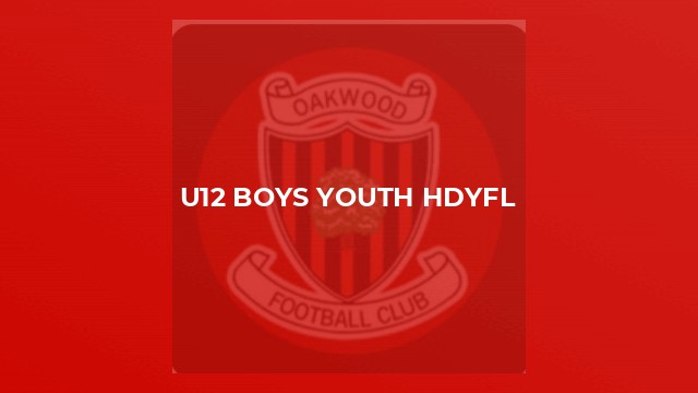U12 Boys Youth HDYFL