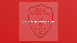 U7  White David Fish