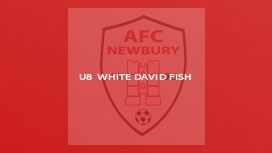 U8  White David Fish