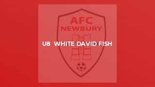 U8  White David Fish