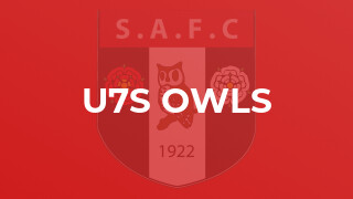 U7s Owls