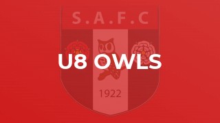 U8 Owls