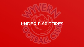Under 11 Spitfires