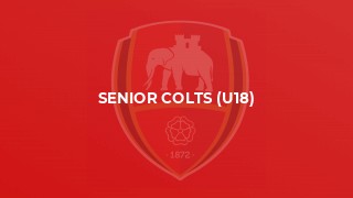 Senior Colts (U18)
