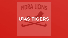 U14s Tigers