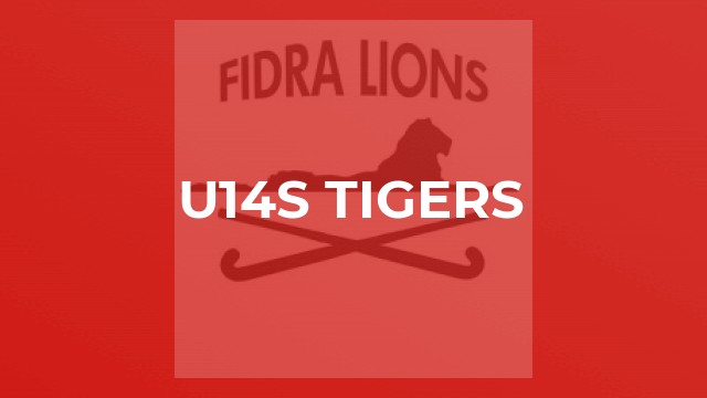 U14s Tigers