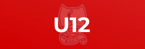 U12 Season Review