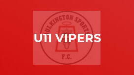 U11 Vipers