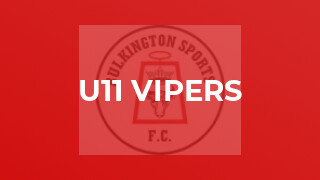 U11 Vipers