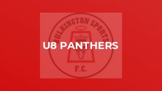 U8 Panthers