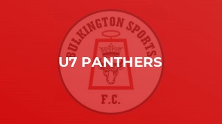 U7 Panthers