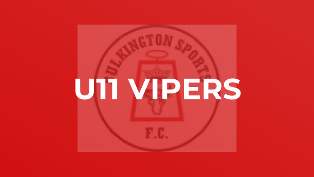 U11 Vipers