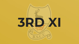 3rd XI