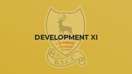 Development XI