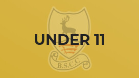 Under 11