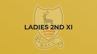 Ladies 2nd XI