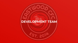 Development Team