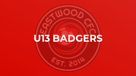 U13 Badgers