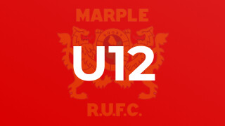 U12