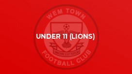 Under 11 (Lions)