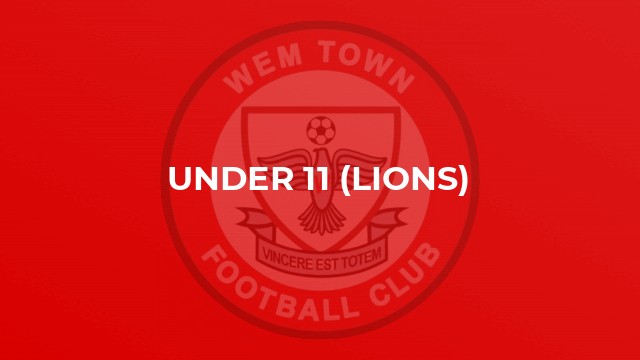 Under 11 (Lions)