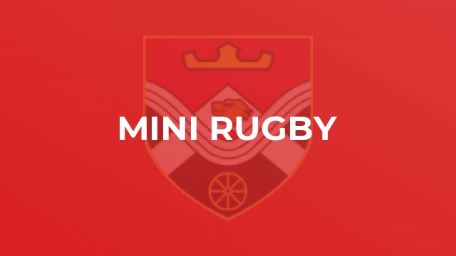 Mini Rugby