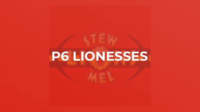 P6 Lionesses