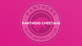 Panthers Cheetahs