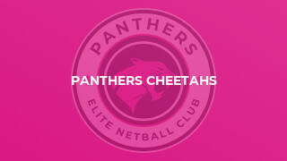 Panthers Cheetahs