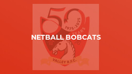 Netball Bobcats