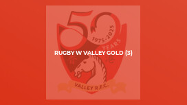 Rugby W Valley Gold (3)