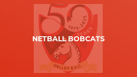 Netball Bobcats