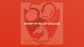 Rugby W Valley Gold (3)
